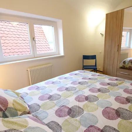 Historic Center - Cosy Turenne 2 - Bookingalsace Colmar