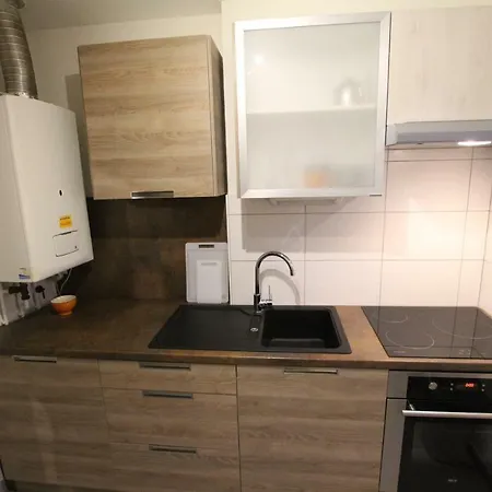 Historic Center - Cosy Turenne 2 - Bookingalsace Apartment