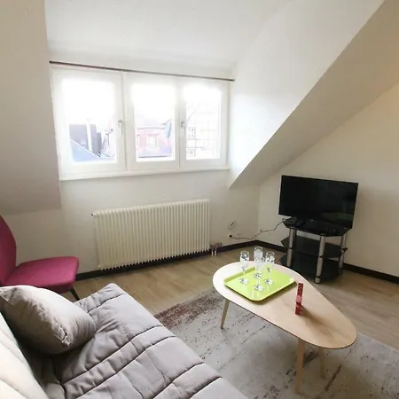 Apartment Historic Center - Cosy Turenne 2 - Bookingalsace *